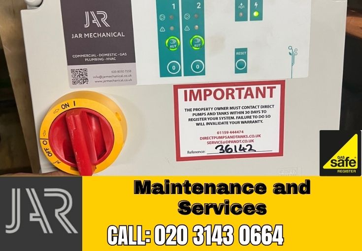 Domestic Maintenance and Services Raynes Park
